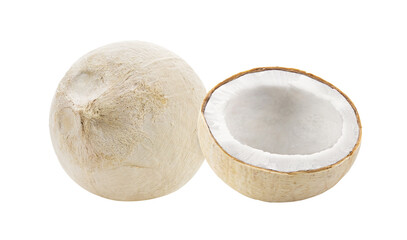 young coconut on transparent png