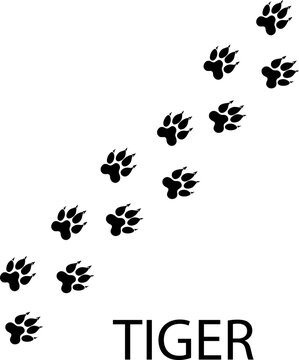 tiger foot print illustration on white background..eps