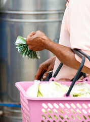 An elderly woman's hands holding money