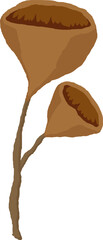 aesthetic minimal design leaf autumn