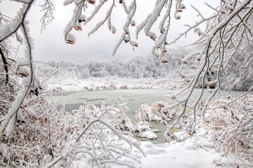 Frozen pond covered in white