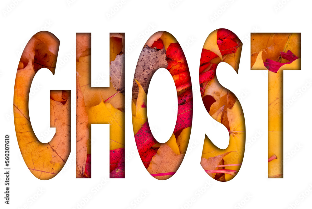 Poster autumn leaves, objects with ghost text. natural patterns, color design.