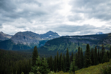 glacier valleys with green forest and overcast skies