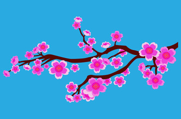 pink blooming beautiful sakura branch