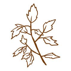 single branch with dried leaves outline doodle hand drawn style
