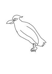Illustration of bird png transparent