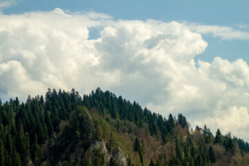 beautiful green high mountains in Poland