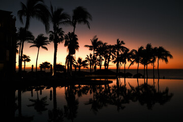 Fototapeta na wymiar Palm trees reflected on a pool at dawn