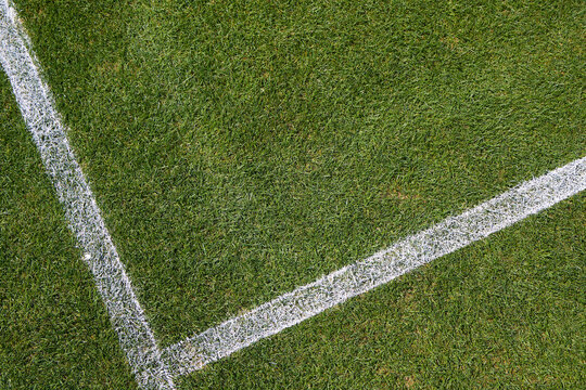 White Lines On A Grass Tennis Court