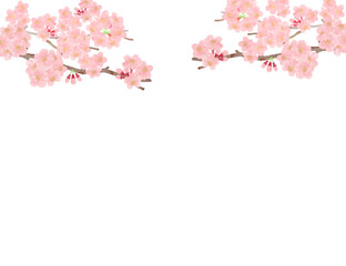 水彩タッチの枝付きの桜のイラスト素材