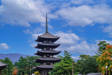 Obraz premium 興福寺