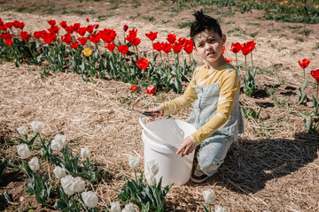 girl with short haircut preparing to pick tulips from the field