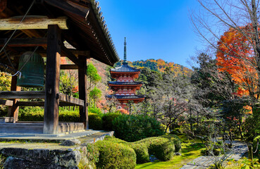 京都、三室戸寺の三重塔