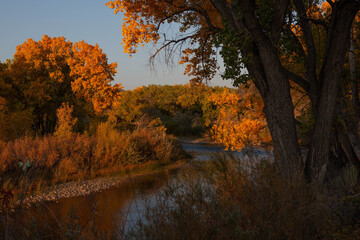 Fototapeta premium Fall in Embudo, Rio Arriba County, New Mexico