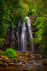 A spectacular ledge waterfall named Ellinjaa waterfall which is hidden in tropical jungle and surround by tropical plantation. This's a part of the famous waterfall circuit of Millaa Millaa Falls. 