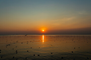 Beautiful sunset over the sea with seagulls silhouette in flight over sea at Thailand.