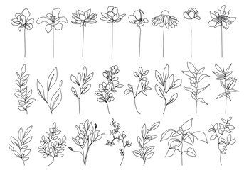 Flowers Set Line Art Drawing. Abstract Line Art Drawing of Flowers in Modern Linear Style. Simple Floral Illustration Set For Beauty Logo Design, Printing, T-shirts, Postcard, Poster. Vector EPS 10
