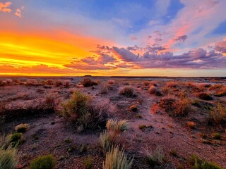 Desert Sunset 