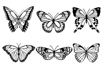 Fototapeta na wymiar Realistic butterfly collection. Black colour butterflise on white background. Vector illustration.