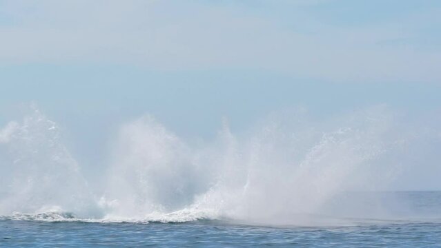 Humpback Whale jump out of the water at full speed and lands on its back