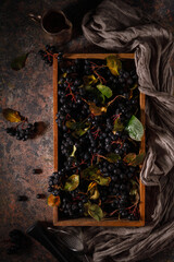 fresh black berries in a wooden box. Low key. Drama. Dark photo