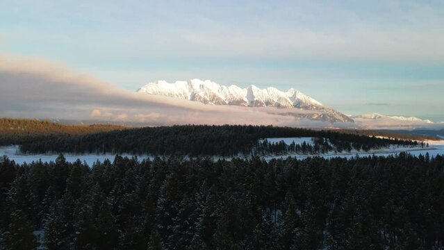 A Sunset Aerial Tour of a Snowy Forest in the Canadian Rocky Mountains