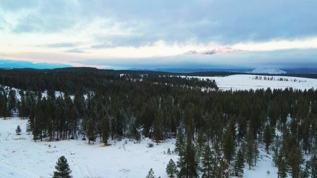 A Sunset Journey Through a Snowy Forest in the Canadian Rocky Mountains