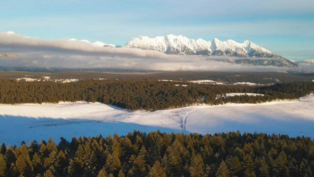 The Canadian Rocky Mountains at Sunset: A Drone Tour of a Snowy Forest