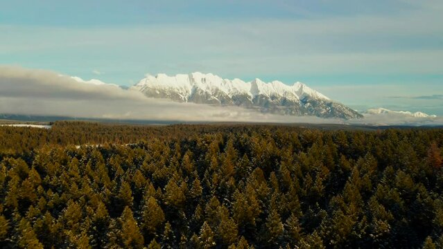 A Sunset Aerial Tour of a Snowy Forest in the Canadian Rocky Mountains: A Winter Wonderland