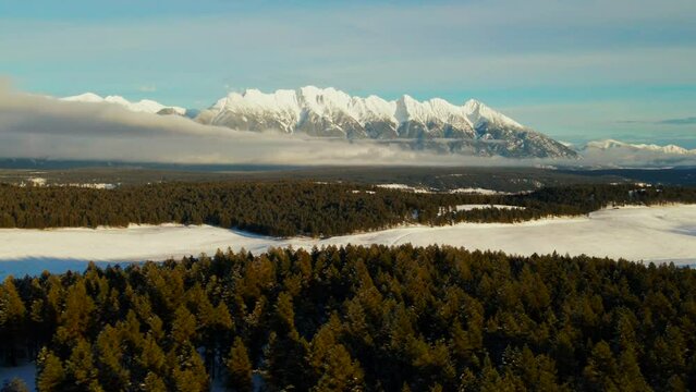 A Sunset Journey Through a Winter Wonderland: A Snowy Forest in the Canadian Rocky Mountains