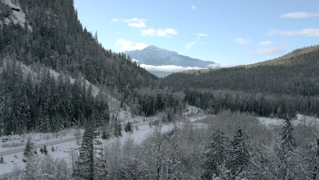 The Magic of Sunset: A Drone Tour of a Snowy Forest in the Canadian Rocky Mountains