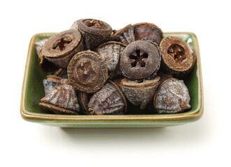 Dried fruits of eucaliptus globulus labill on white background