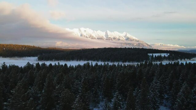 Sunset in the Canadian Rocky Mountains: A Drone Tour of a Snowy Forest