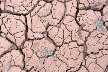 cracked soil