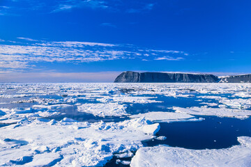 Ice floe floating at the rocky coast of Svalbard
