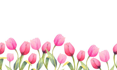 Watercolor illustration with Magenta tulips. Seamless backgrownd with sweet flowers. Watercolor spring floral ornament.