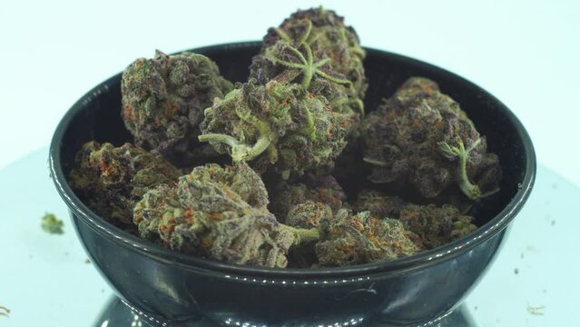 Close up shot of a Marijuana sativa Sour Diesel flowers with trichomes, green and purple Kush on a rotating stand, in a black shiny bowl, Slow motion 4K video