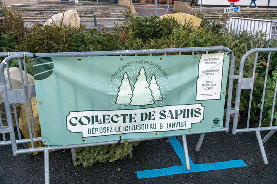 Mise en place début janvier par la Métropole de Rouen, de zones de collecte des sapins de Noël afin d'être recyclés