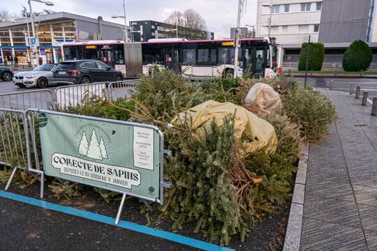 Mise en place début janvier par la Métropole de Rouen, de zones de collecte des sapins de Noël afin d'être recyclés