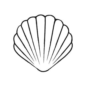 Seashell clam vector illustration. Abstract boho sketch doodle style. Illustrations for menu, seafood restaurant design, resort hotel spa, surf boards. Wall Art Print, t shirt, phone case