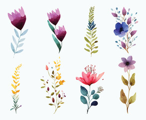 Set of ornamental floral design elements