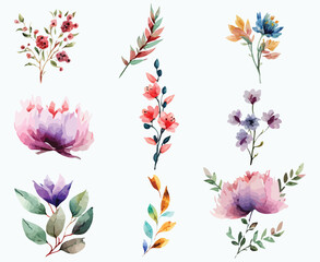 Set of ornamental floral design elements