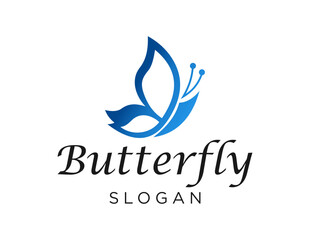 Logo about Butterfly on white background. created using the CorelDraw application.