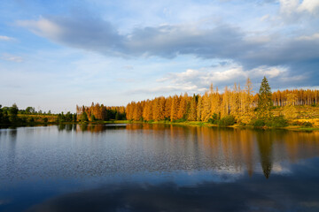 Nature at the Oberer Nassenwieser Teich in the Harz Mountains, near Clausthal-Zellerfeld. View of the pond with the idyllic autumn landscape.
