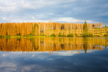 Nature at the Oberer Nassenwieser Teich in the Harz Mountains, near Clausthal-Zellerfeld. View of the pond with the idyllic autumn landscape.
