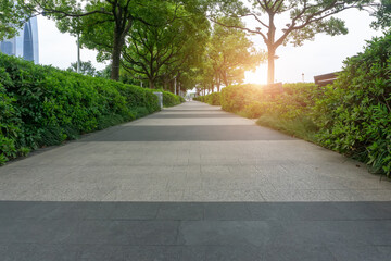 Trees with large courtyards and green lawns.