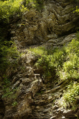 Wall of layered rocks with wavy curved crumpled pattern and bright green plants on slope in sunny summer day with  sunbeams, texture, background, detail, vertical.