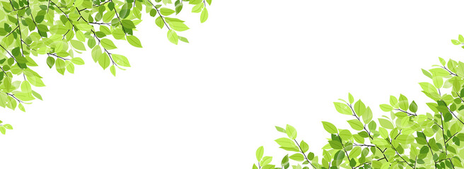 新緑のフレーム・背景素材（バナー向け横長）