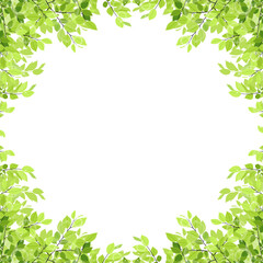 新緑のフレーム・背景素材（正方形）