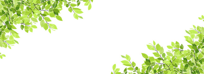 新緑のフレーム・背景素材（バナー向け横長）